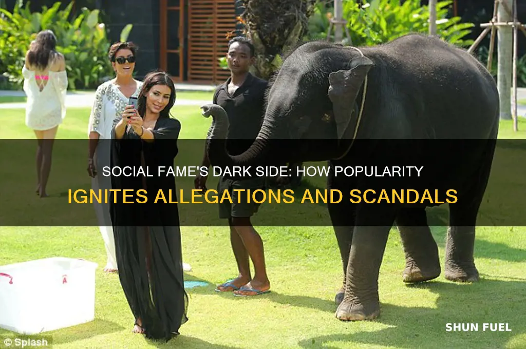 how social fame fueled allegations
