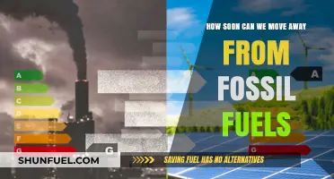 Accelerating the Transition: When Can We Ditch Fossil Fuels?