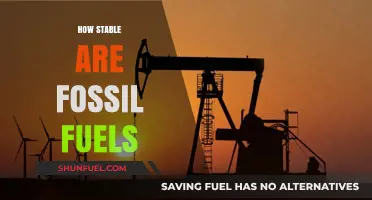 Are Fossil Fuels a Stable Energy Source? Exploring the Risks
