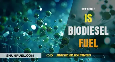 Exploring Biodiesel Fuel Stability: Reliability, Performance, and Longevity
