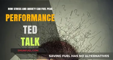 Harnessing Stress and Anxiety for Peak Performance: Insights from TED