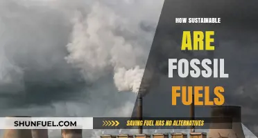 Are Fossil Fuels Sustainable? Examining Their Environmental and Economic Impact