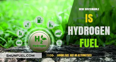 Hydrogen Fuel: A Sustainable Energy Solution or Greenwashed Myth?