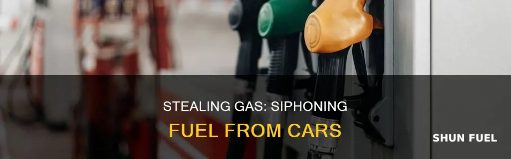 how syphon fuel from car