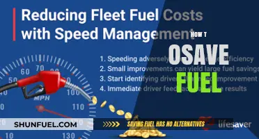Maximize Mileage: Smart Tips to Save Fuel and Cut Costs