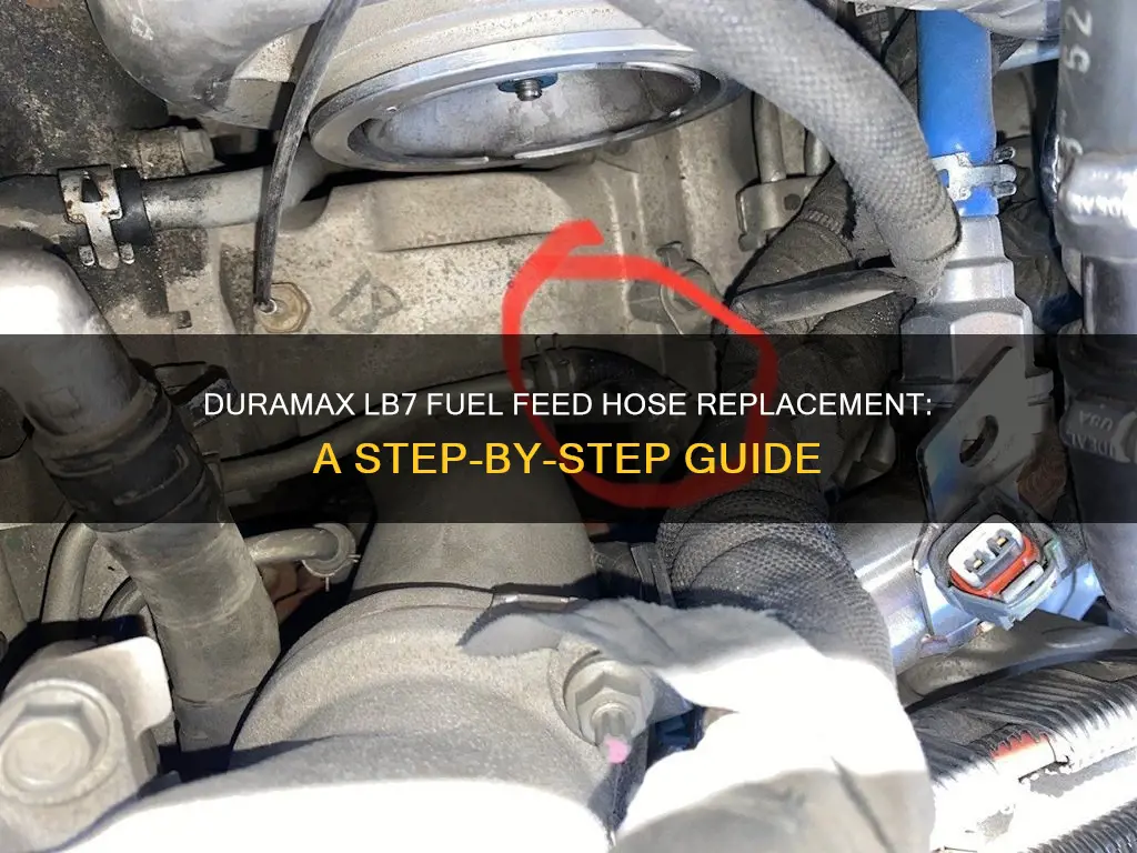 how t replace duramax lb7 fuel feed hose replacement