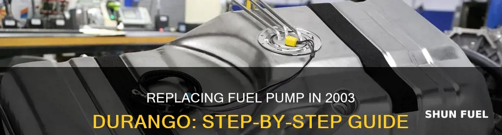 how t0 replace a fuel in a 2003 durango