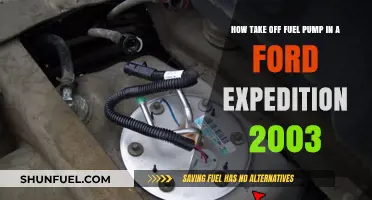 Step-by-Step Guide: Removing the Fuel Pump in a 2003 Ford Expedition