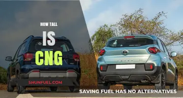 Exploring the Heights: A Comprehensive Guide to CNG's Stature