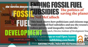 Taxpayers' Hidden Costs: Fossil Fuel Development's Burden on Society