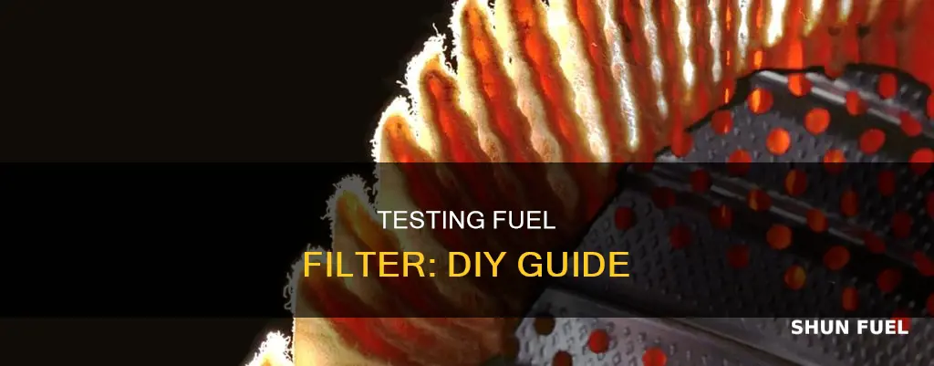 how test fuel filter