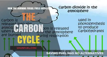 Fossil Fuel Combustion: Disrupting Earth's Carbon Cycle and Climate Balance