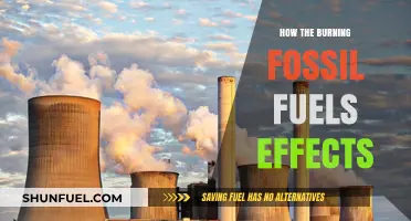 Burning Fossil Fuels: Devastating Effects on Climate, Health, and Ecosystems