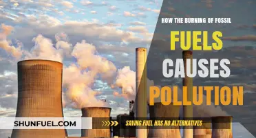 Fossil Fuel Combustion: Unveiling the Pollution Crisis and Environmental Impact