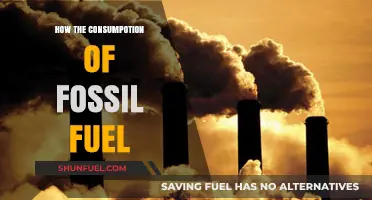 Fossil Fuel Consumption: Environmental Impacts and Sustainable Alternatives