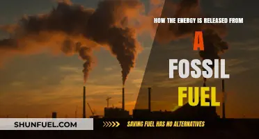 Unlocking Fossil Fuels: How Energy is Released from Ancient Sources