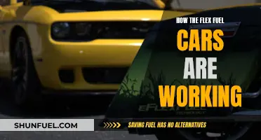 Unleashing Flexibility: Understanding the Mechanics of Flex Fuel Cars