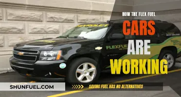 Flex Fuel Cars: Understanding Their Working Mechanism