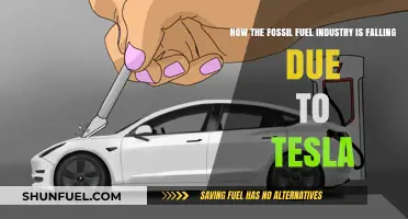 Tesla's Rise: Accelerating the Fossil Fuel Industry's Decline