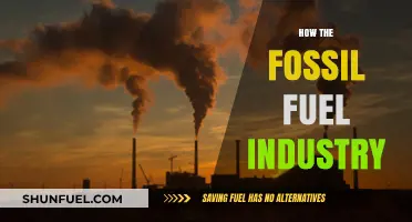 How the Fossil Fuel Industry Shapes Global Economies and Climates