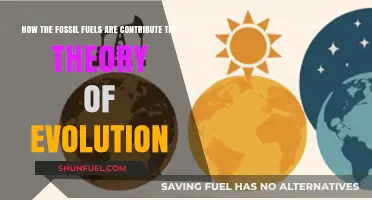 Fossil Fuels' Role in Shaping Evolution: A Surprising Connection