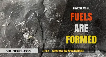 Unveiling the Ancient Origins of Fossil Fuels: A Geological Journey