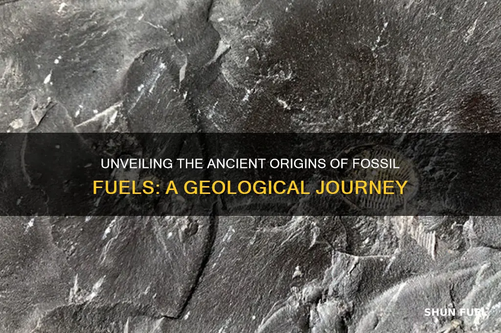 how the fossil fuels are formed