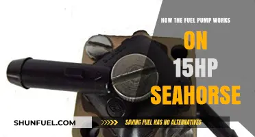 Understanding the Fuel Pump Mechanism in a 15HP Seahorse Engine