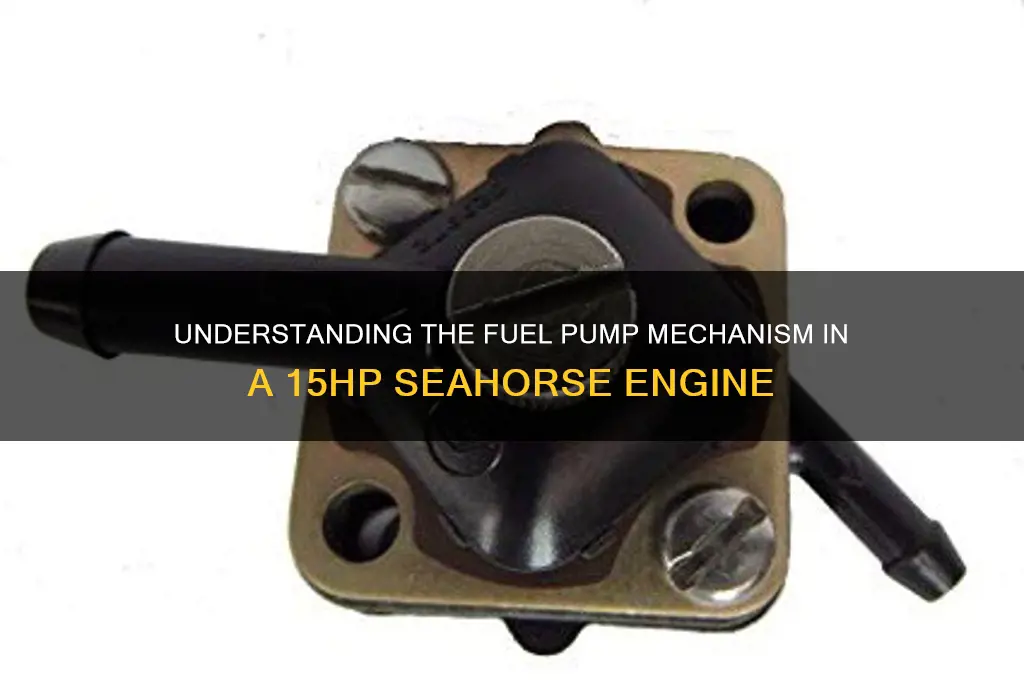 how the fuel pump works on 15hp seahorse