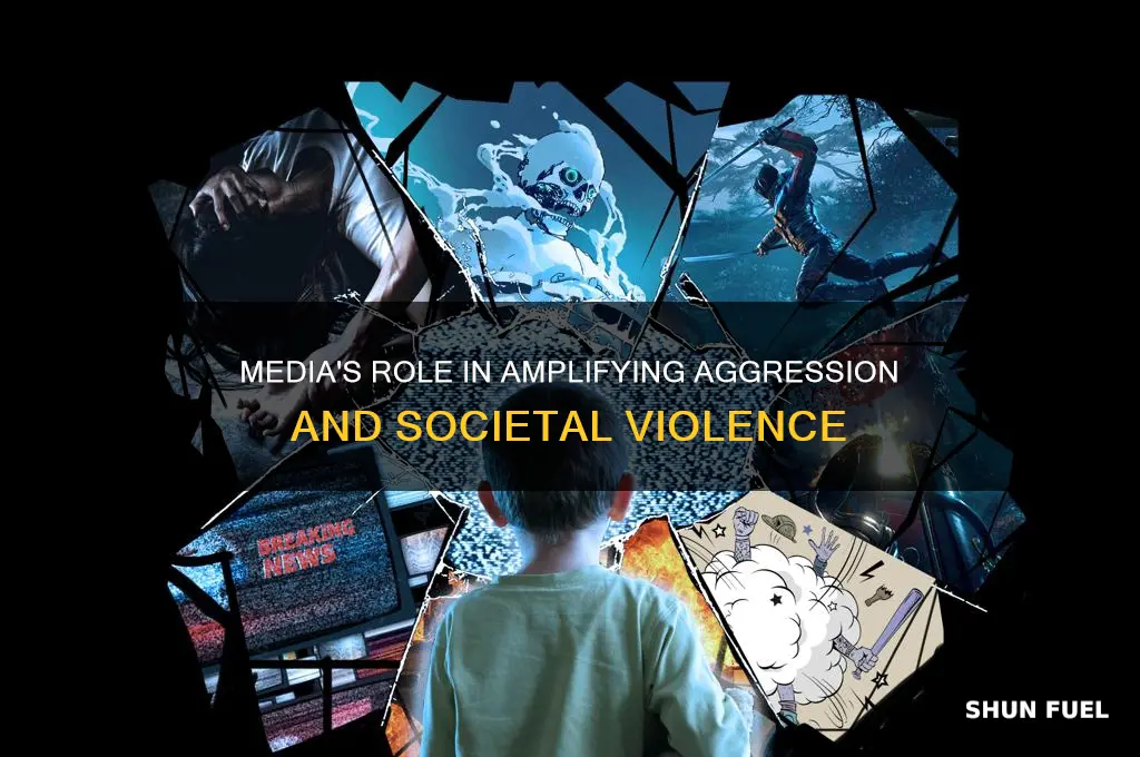 how the media fuels violence