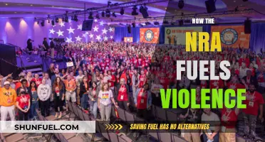 NRA's Influence: How Gun Lobby Fuels Deadly Violence in America
