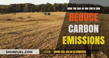 Biofuels: A Sustainable Path to Lower Carbon Emissions