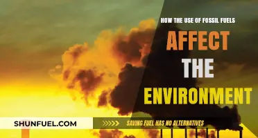 Fossil Fuels' Environmental Impact: Pollution, Climate Change, and Ecosystem Destruction