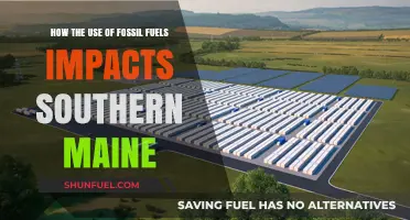 Fossil Fuels' Impact on Southern Maine's Environment and Economy