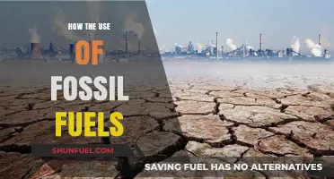The Impact of Fossil Fuels: Environmental Consequences and Sustainable Alternatives