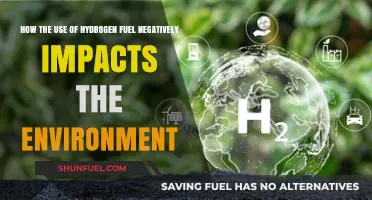 Hydrogen Fuel's Hidden Costs: Environmental Impacts and Sustainability Concerns
