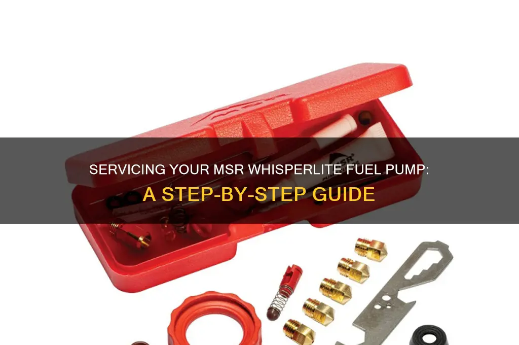 how ti service msr whisperlite fuel pump