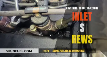 Fuel Injector Maintenance: Tightening Inlet Screw Precision