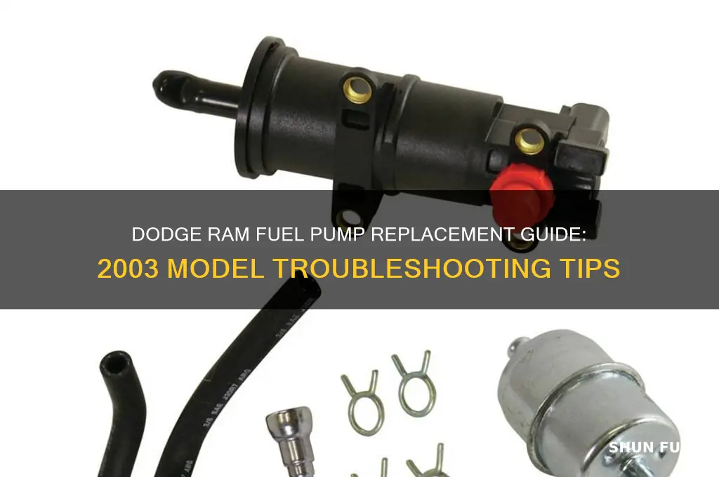 how to 2003 dodge ram fuel pump