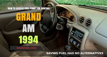 Accessing the Fuel Pump in a 1994 Pontiac Grand Am