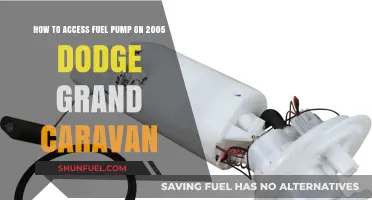Accessing the Fuel Pump on a 2005 Dodge Grand Caravan