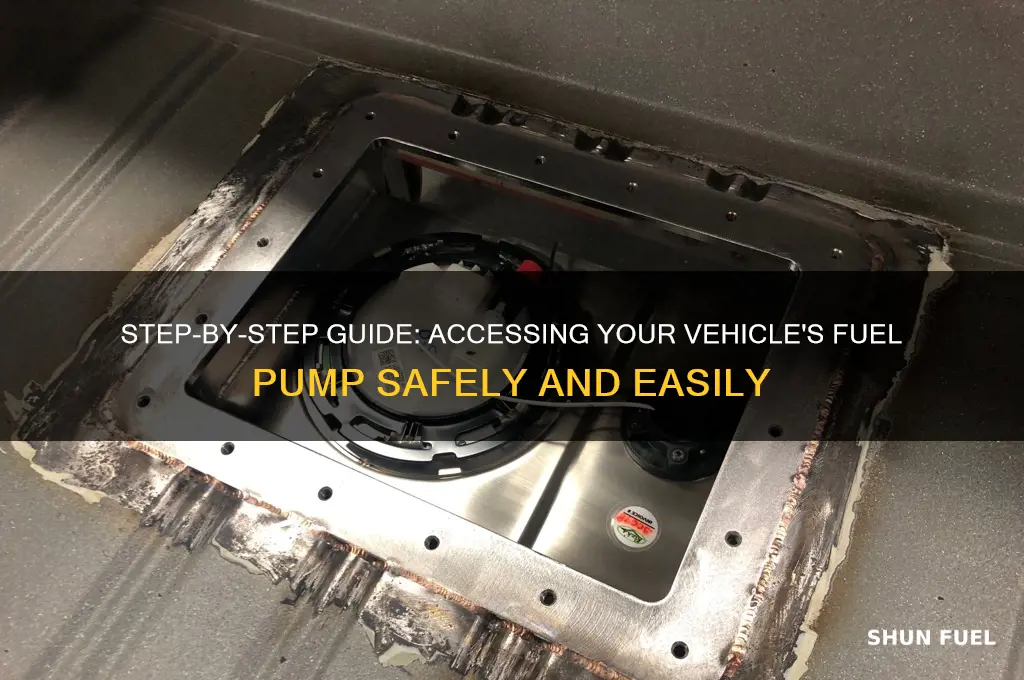 how to access fuel pump