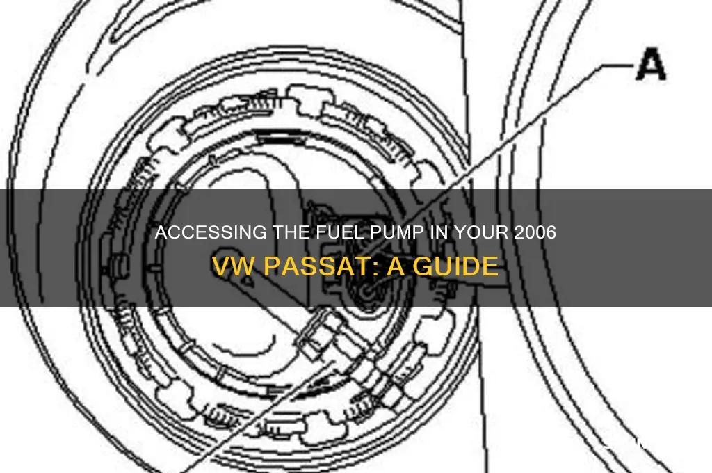 how to access the fuel pump 2006 vw passat