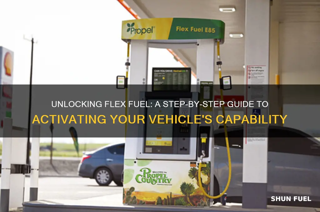 how to activate flex fuel