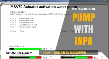 Activating Your Fuel Pump Using INPA: A Step-by-Step Guide