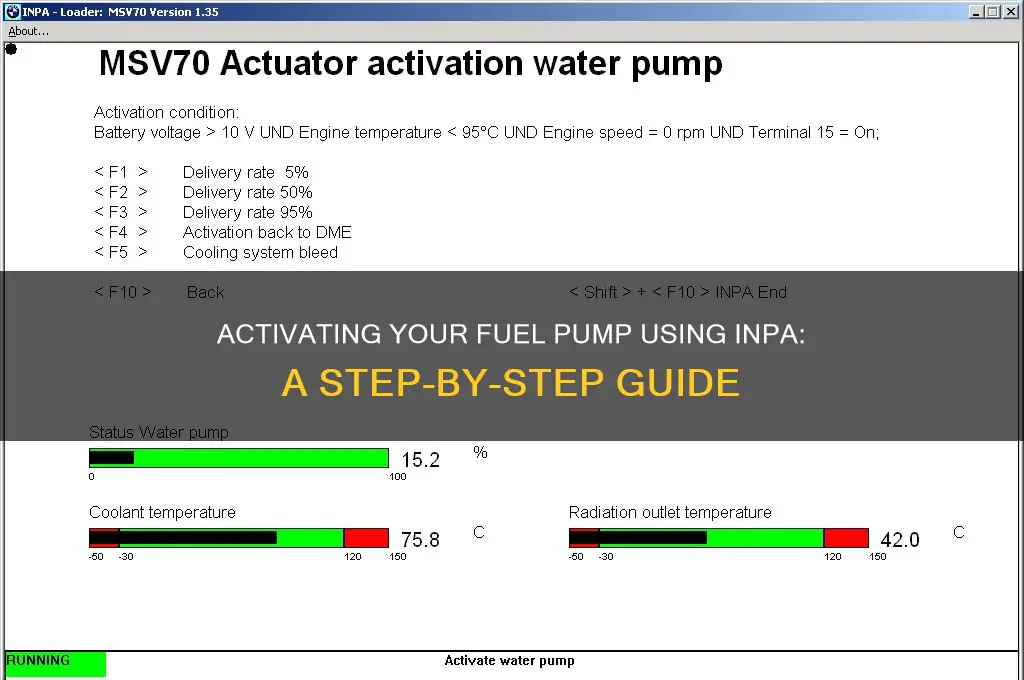 how to activate fuel pump with inpa