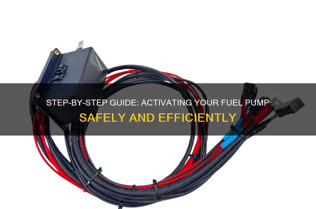 how to activate fuel pump