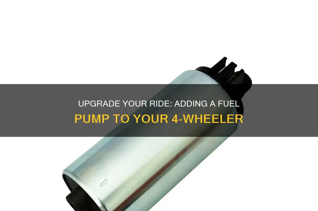 how to add a fuel pump to your 4 wheeler