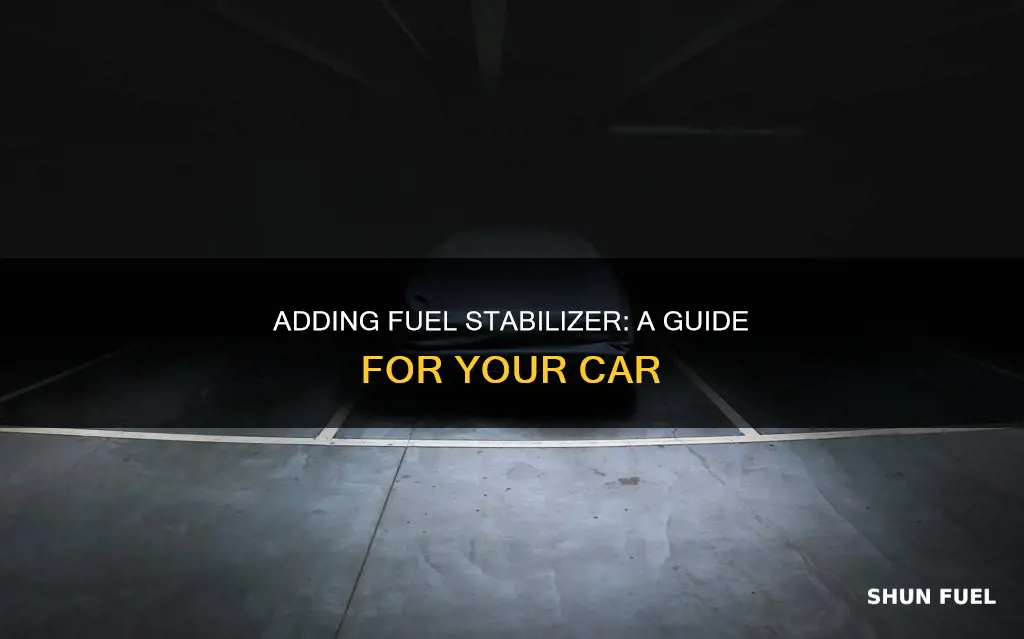 how to add fuel stabilizer to car