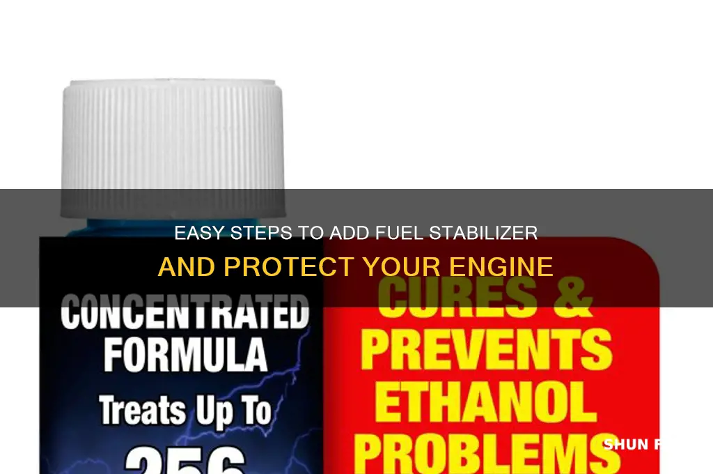how to add fuel stabilizer